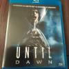 Until Dawn