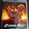 Cobra Kai season 2 Netflix syncro