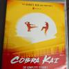 Cobra Kai season 1 Netflix syncro
