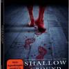 Shallow Ground