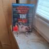 The Hunt Mediabook Ovp. 
