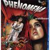 Phenomena Jennifer Connelly - Blu-ray Deutsch