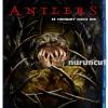 Antlers (2021) - Blu-Ray HD - Ton Deutsch