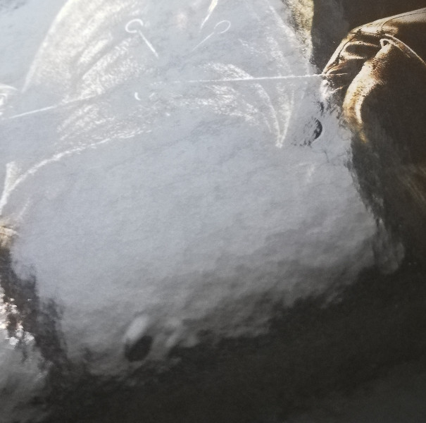 THE COLLECTOR   (MEDIABOOK)