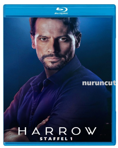 Harrow Staffel 2 Blu-ray�Ton Deutsch