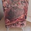 Carcinoma Erstauflage Mediabook SonderNr.88/99 OVP