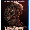House on Willow Street 2016 - Blu ray Ton Deutsch