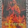 Bloodstorm (Blu Ray & DVD Mediabook)