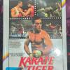 Karate Tiger gro�e Hartbox Cover B OVP