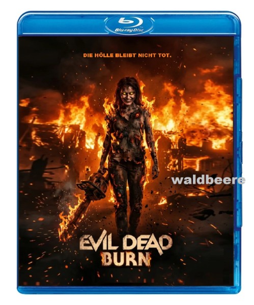 Einer der besten Horrorfilme 2026 Blu-ray Deutsch