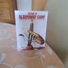 Return to Sleepaway Camp Media...