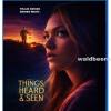 Things Heard And Seen 2021 Blu ray Deutsch