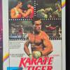 Karate Tiger gro�e Hartbox Cov...