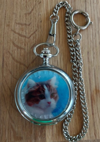 TASCHENUHR MOTIV KATZE K�tzchen Katzen Bild