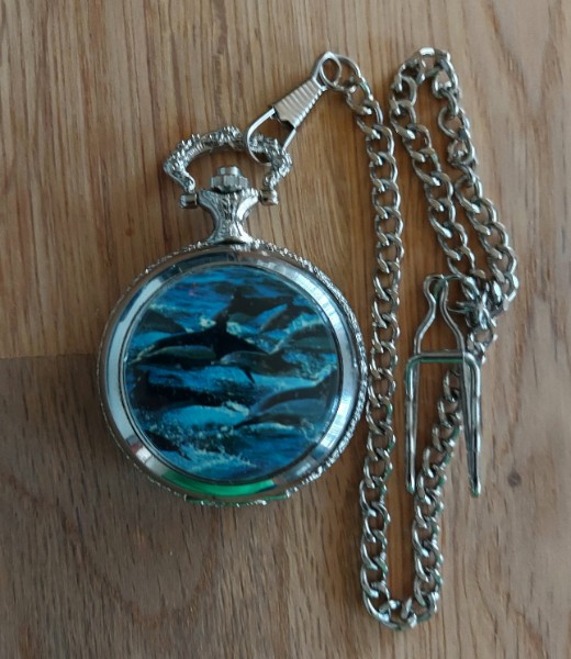 TASCHENUHR MOTIV mehrere DELFINE Delfin Bild
