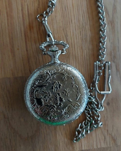 TASCHENUHR MOTIV mehrere DELFINE Delfin Bild