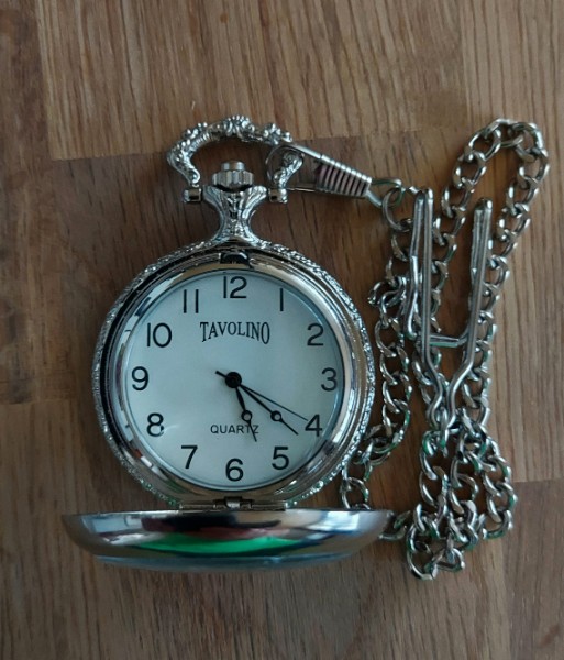 TASCHENUHR MOTIV mehrere DELFINE Delfin Bild
