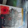 The Witcher Wild Hunt