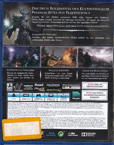 Risen 3