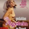 Bieten oder Kaufen