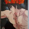 Fist of the North Star TV Seri...