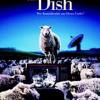 The Dish