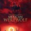 Mexican Werewolf -  Steelbook