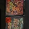 Return to Nuke em High Vol 1 und 2 Bluray