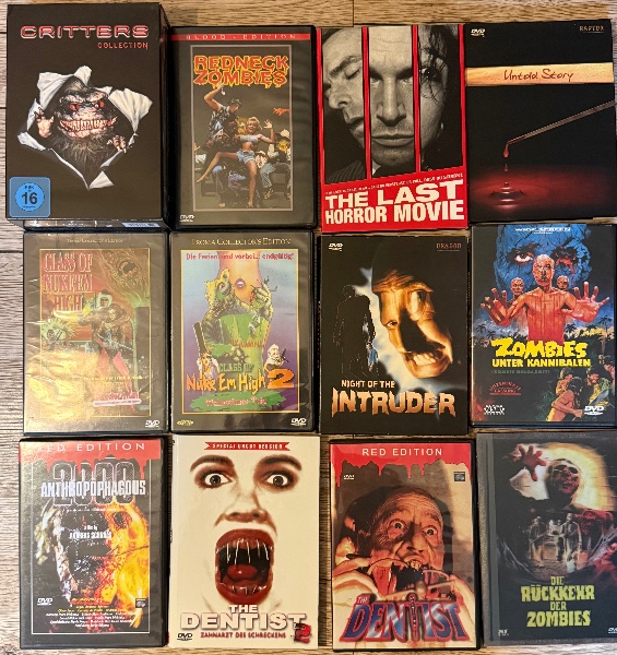 Riesiges Horror & Splatter DVD-Konvolut (24 Titel)
