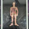 Aftermath DVD mit Figur