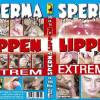 Kein Bild vorhanden!
