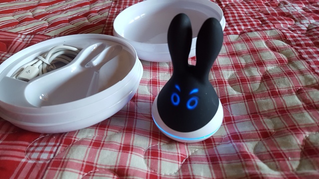 Dildofee Hasi Anlegevibrator Kaufen!