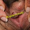 Kein Bild vorhanden!