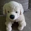 Sitzender Plsch Hund