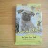 NINTEND�GS (2006), SAMMELKARTEN TRAINING TIPS