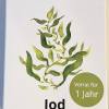 MAISON NATURELLE�Kelp Kapseln (365 St�ck) - 100% r