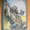 KARL MAY -  OLD FIREHAND,  BUC...