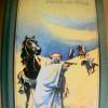 KARL MAY  DURCH DIE W�STE,  BU...