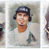 Afrojack--8c0--Fototasse