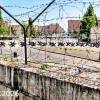 Tiergarten- Grenzvorrichtung- ...