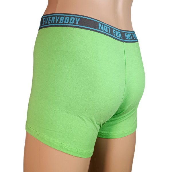 bruno banani Boxer (gr�n) in Geschenkverpackung